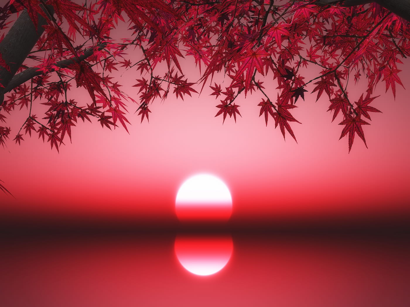 A serene sunset reflecting on water surrounded by vibrant red leaves, illustrating tranquility while learning how to stop worrying about things that don’t matter.