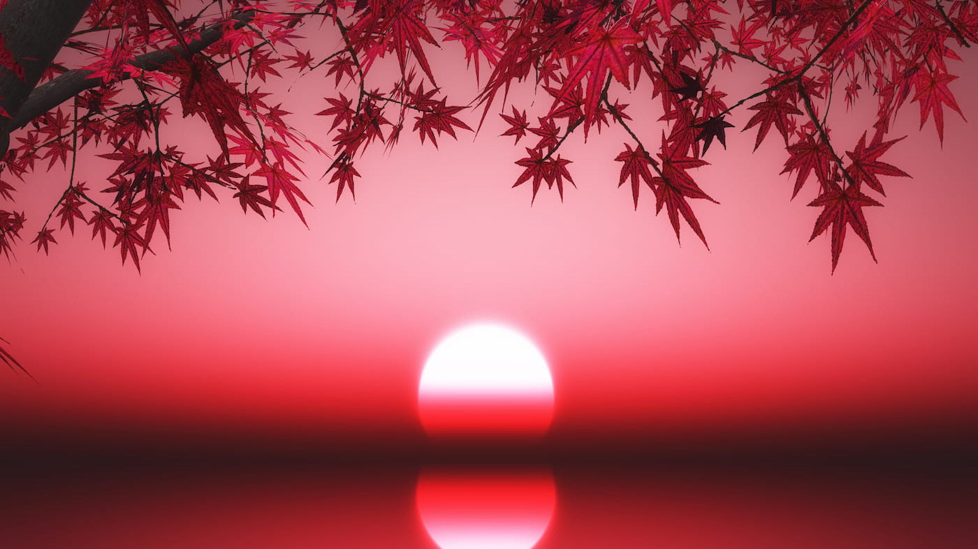 A serene sunset reflecting on water surrounded by vibrant red leaves, illustrating tranquility while learning how to stop worrying about things that don’t matter.