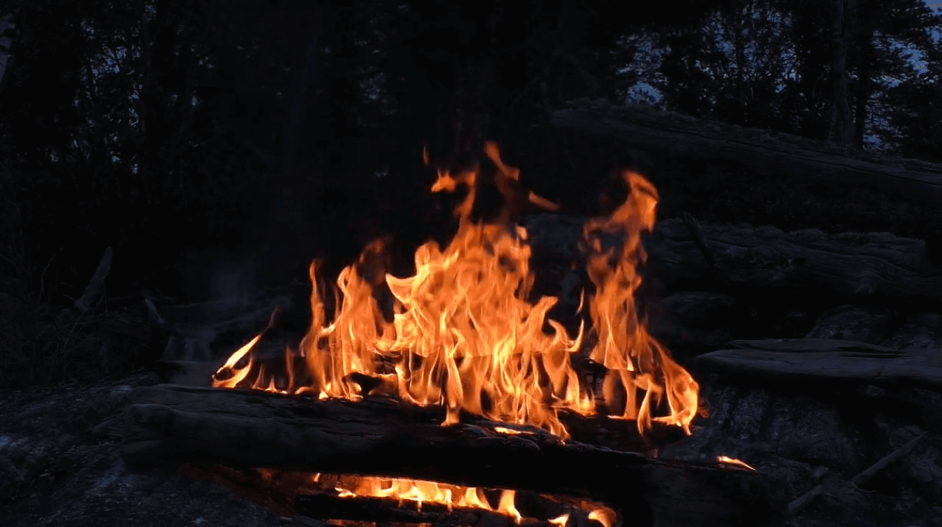 A vibrant campfire burning brightly at night, surrounded by logs in a serene outdoor setting.