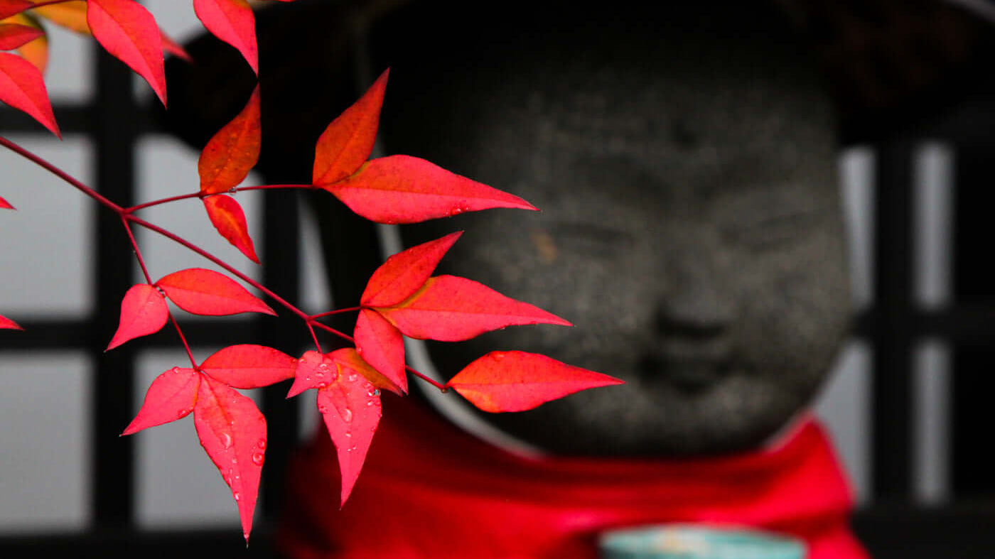 A serene stone statue with red maple leaves, symbolizing the Wisdom of Sutras and self-reflection.