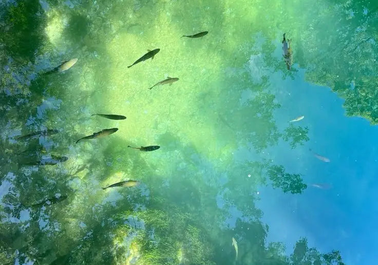 Awakening Was Never in the Future