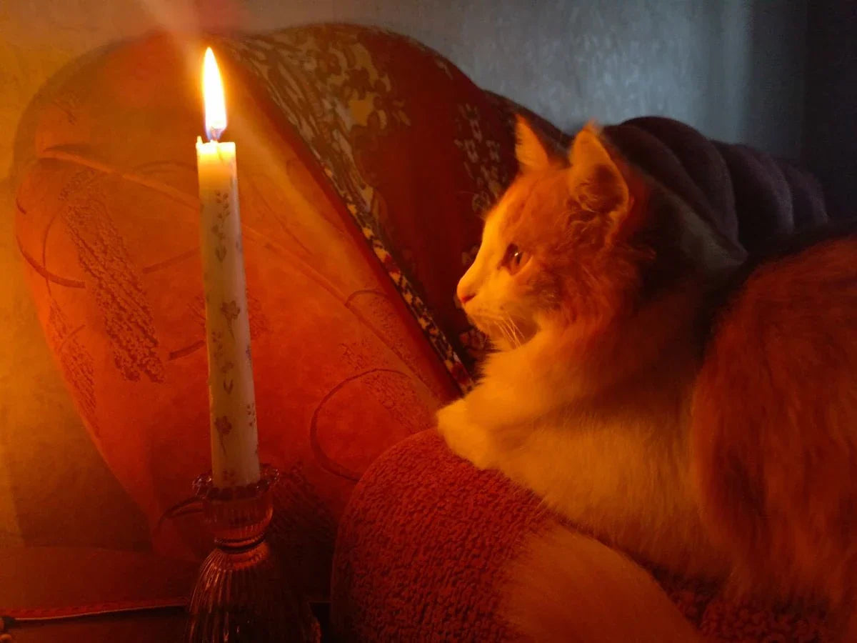 Meditation Didn’t Fix My Life