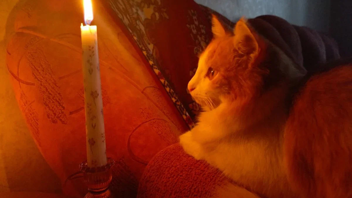 Meditation Didn’t Fix My Life