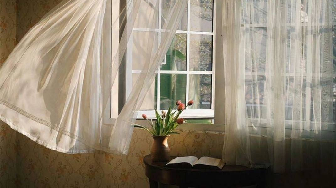 Serene window with flowing curtains and flowers, perfect for learning how to stay calm at work in a fast-paced world.