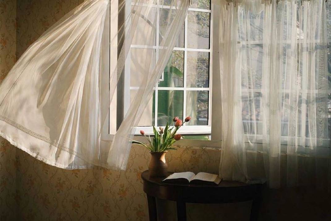 Serene window with flowing curtains and flowers, perfect for learning how to stay calm at work in a fast-paced world.