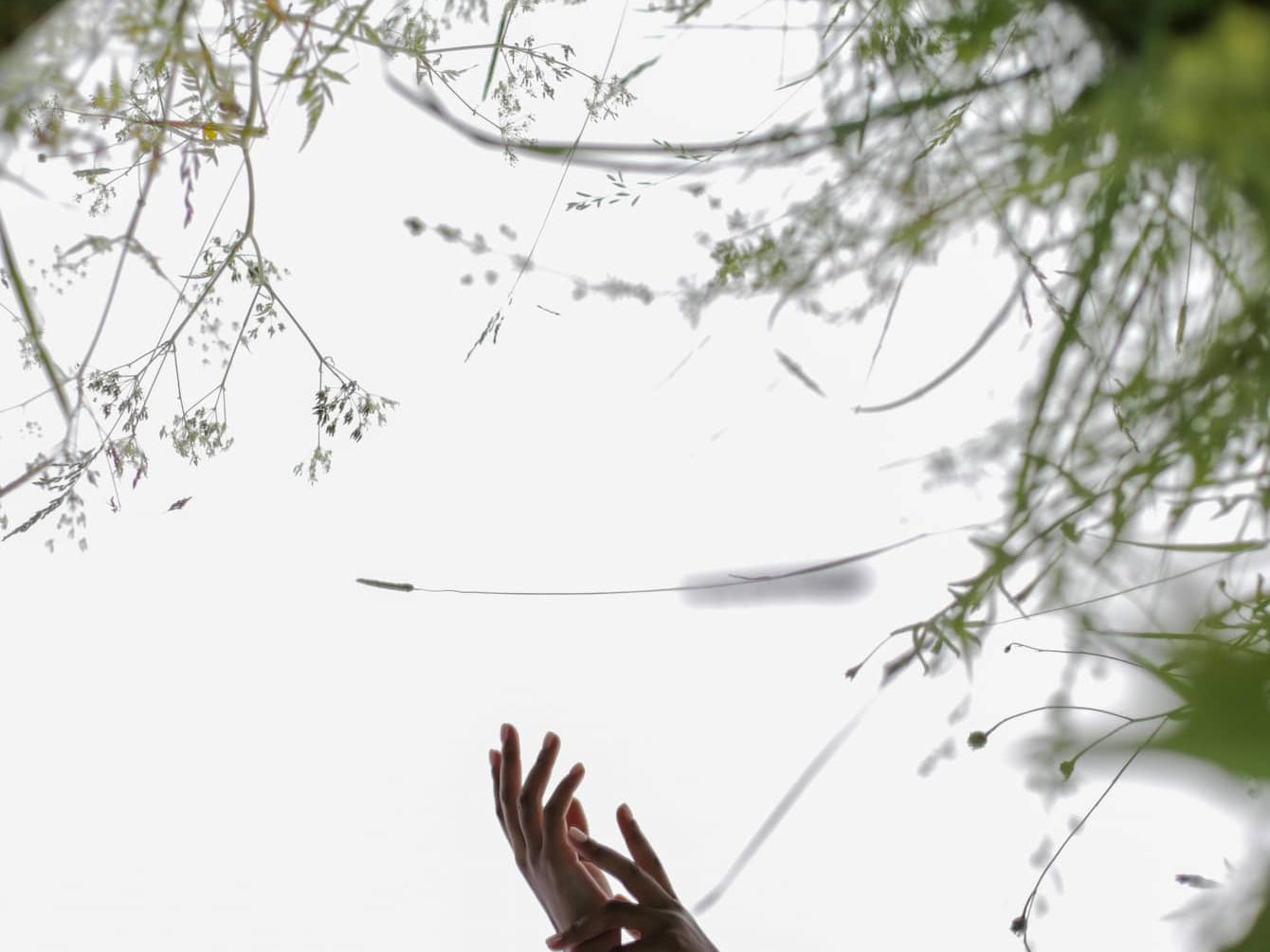 How to Use Daily Meditation to Replace Alcohol with reflections of hands in a circular mirror surrounded by grass.