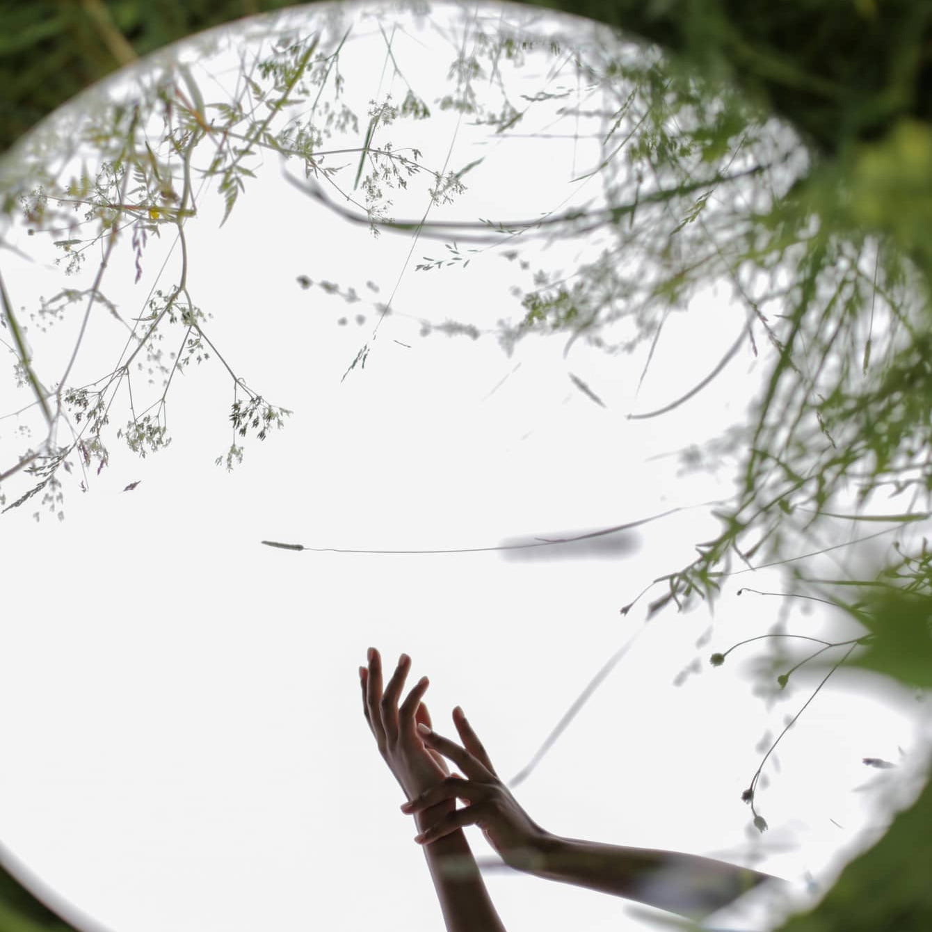 How to Use Daily Meditation to Replace Alcohol with reflections of hands in a circular mirror surrounded by grass.