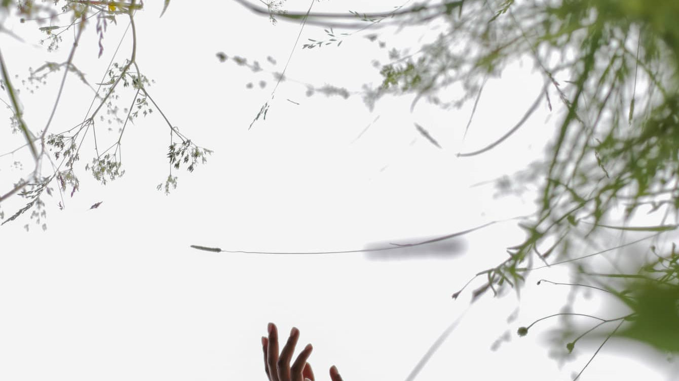 How to Use Daily Meditation to Replace Alcohol with reflections of hands in a circular mirror surrounded by grass.