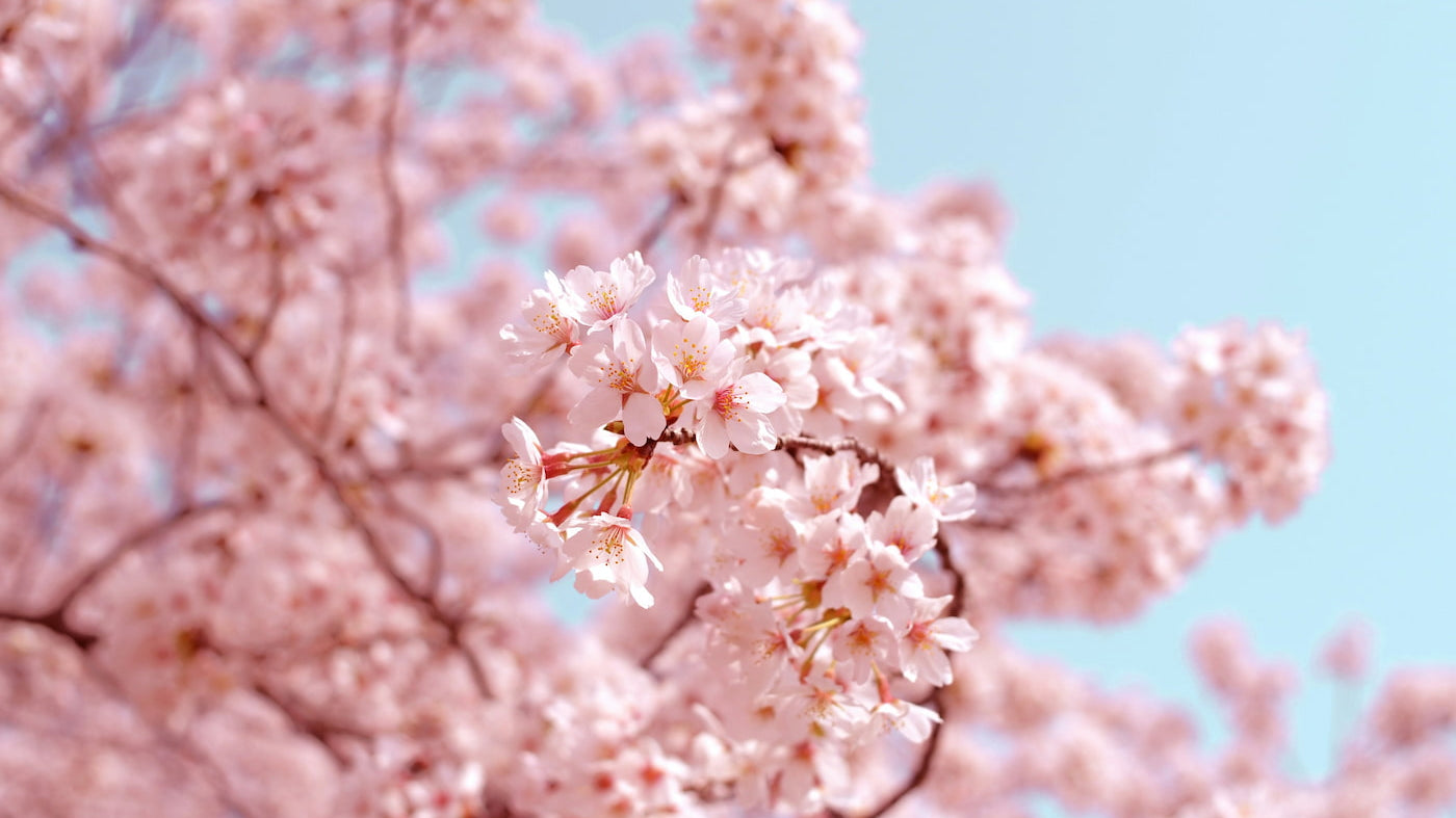Why Some People Are More Prone to Stress: A Lesson I Learned the Hard Way