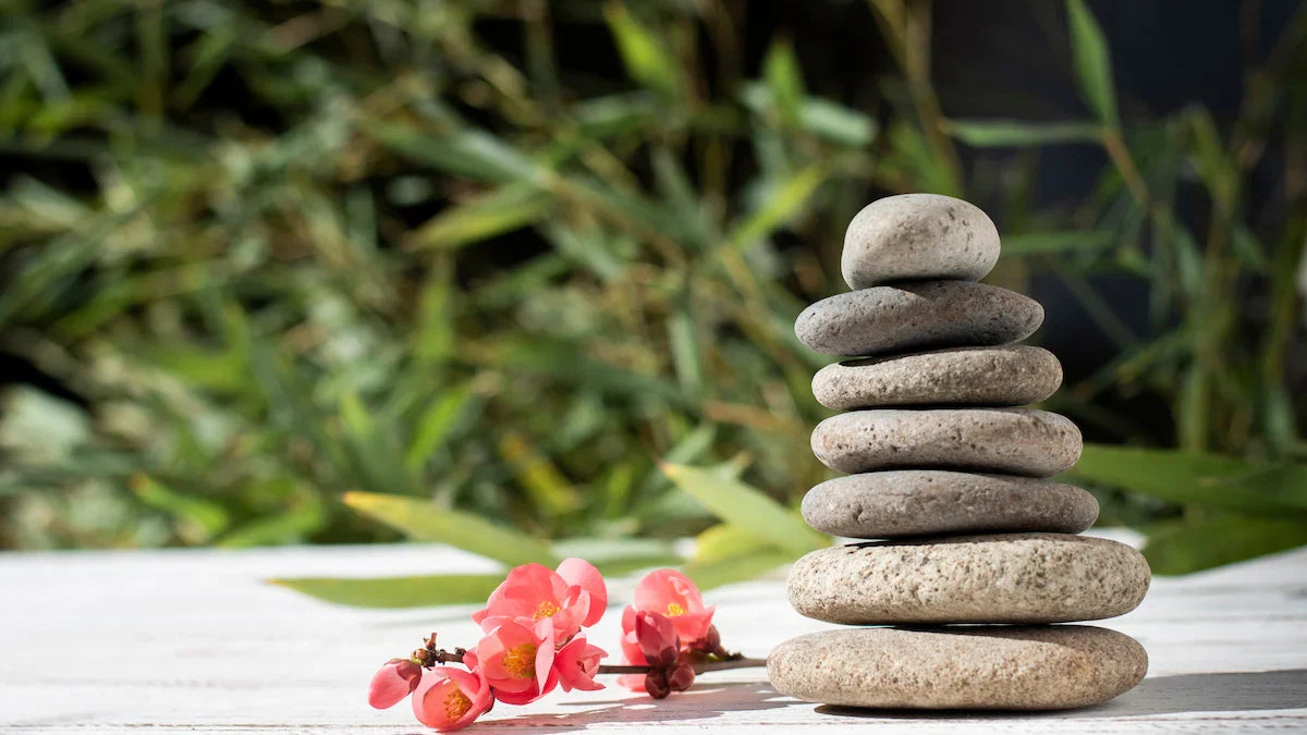 What Is a Zen Garden and How Does It Work?