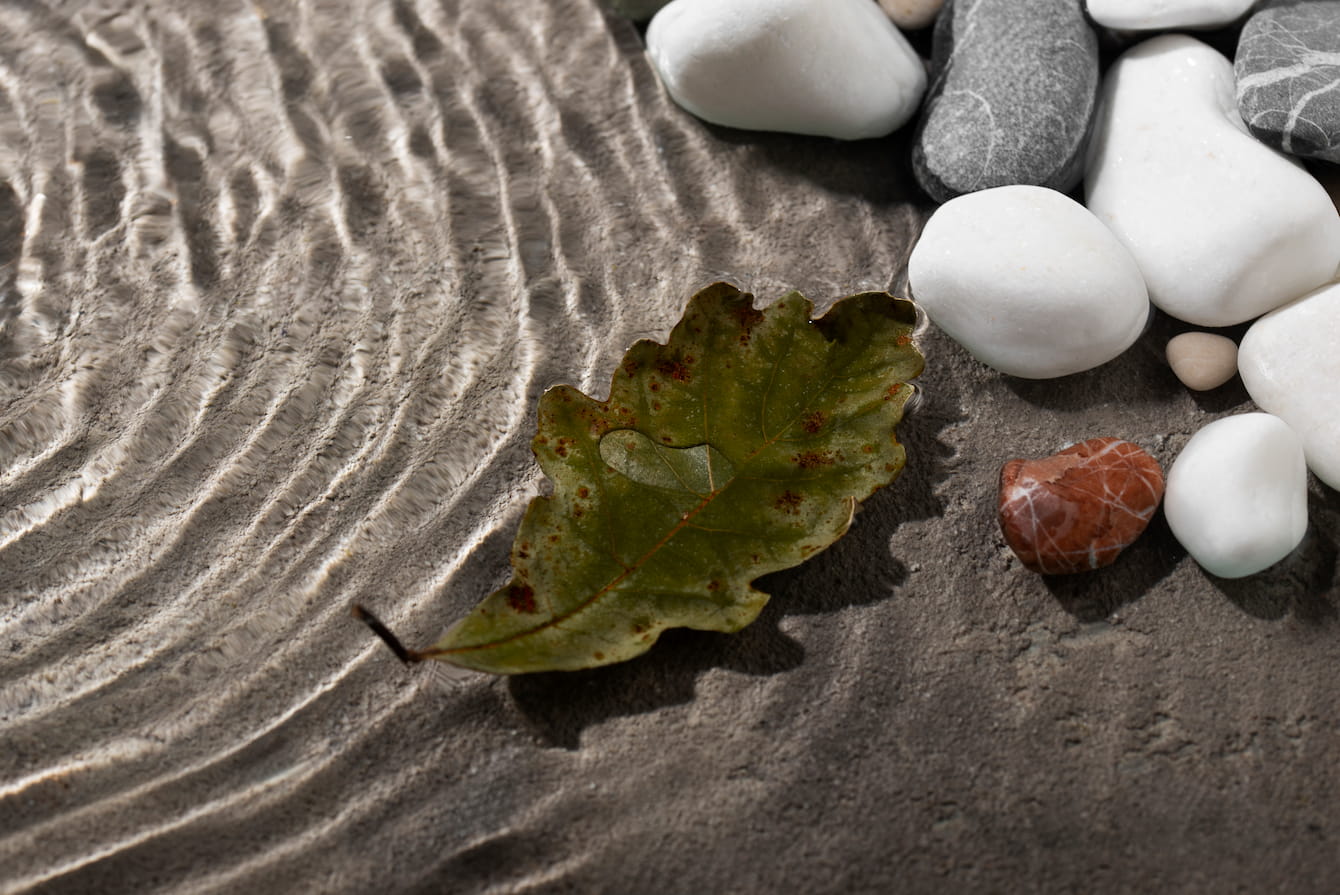 What Most People Won’t (And Can’t) Tell You About Breath Mindfulness