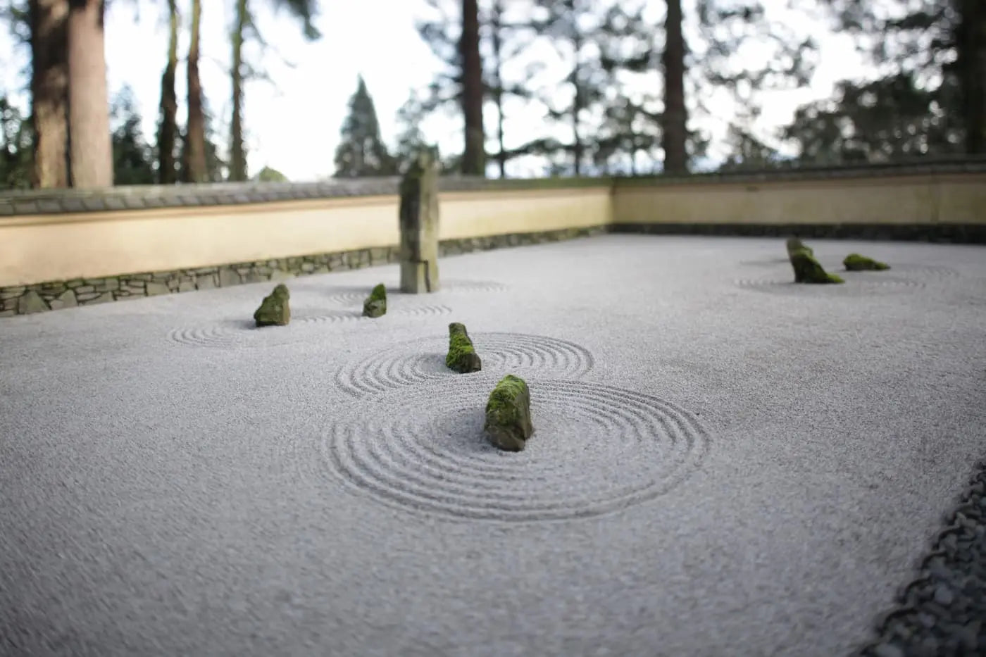 The-Journey-of-Meditation-Transformation-A-Guide-from-Confusion-to-Focus Zenify