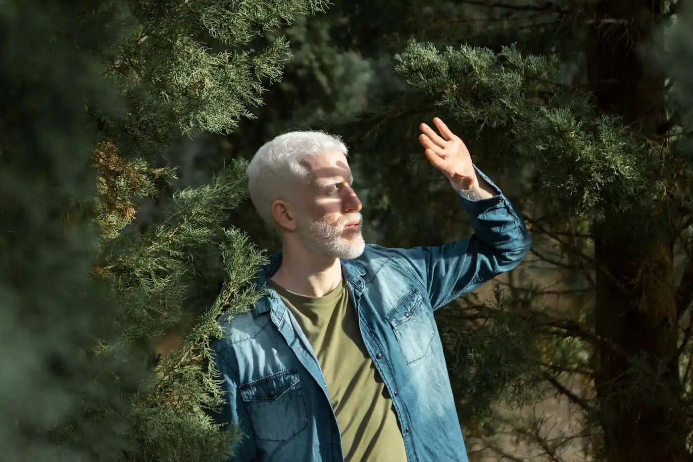 A man with short white hair and a beard standing among evergreen trees, shielding his eyes from the sunlight.