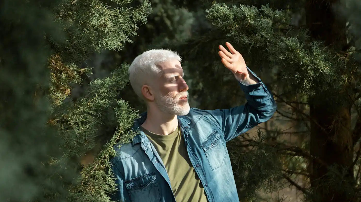 A man with short white hair and a beard standing among evergreen trees, shielding his eyes from the sunlight.