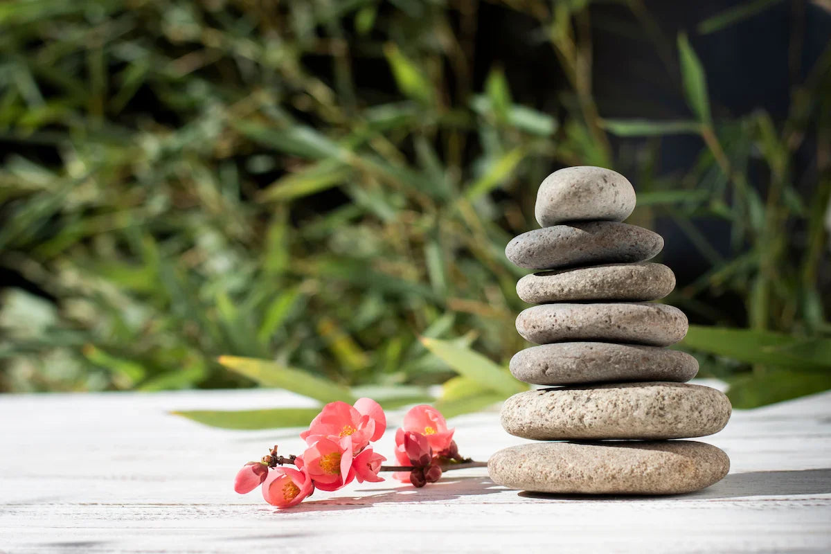 Spring Reset Event | Zenify Mindful Gifts & Zen Gardens