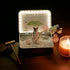 Spirit animal crystal zen garden featuring a guardian figure, healing stones, and calming candlelight.