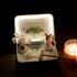 Spirit Animal Crystal Zen Garden with a calming scene, featuring a meditating guardian and healing tree.