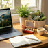 12-Zodiac Crystal Zen Garden personalized meditation kit on a desk with laptop, plants, and cup of coffee.
