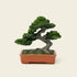 Zenify™ Tranquil Trio – Resin Bonsai & Stone Lantern Set for Zen Decor Zenify