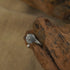 Zenify™ Silver Mantra Ring on wooden surface showcasing unique floral design and sterling silver craftsmanship.