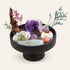 Crystal Zen Garden variant 02 hero view