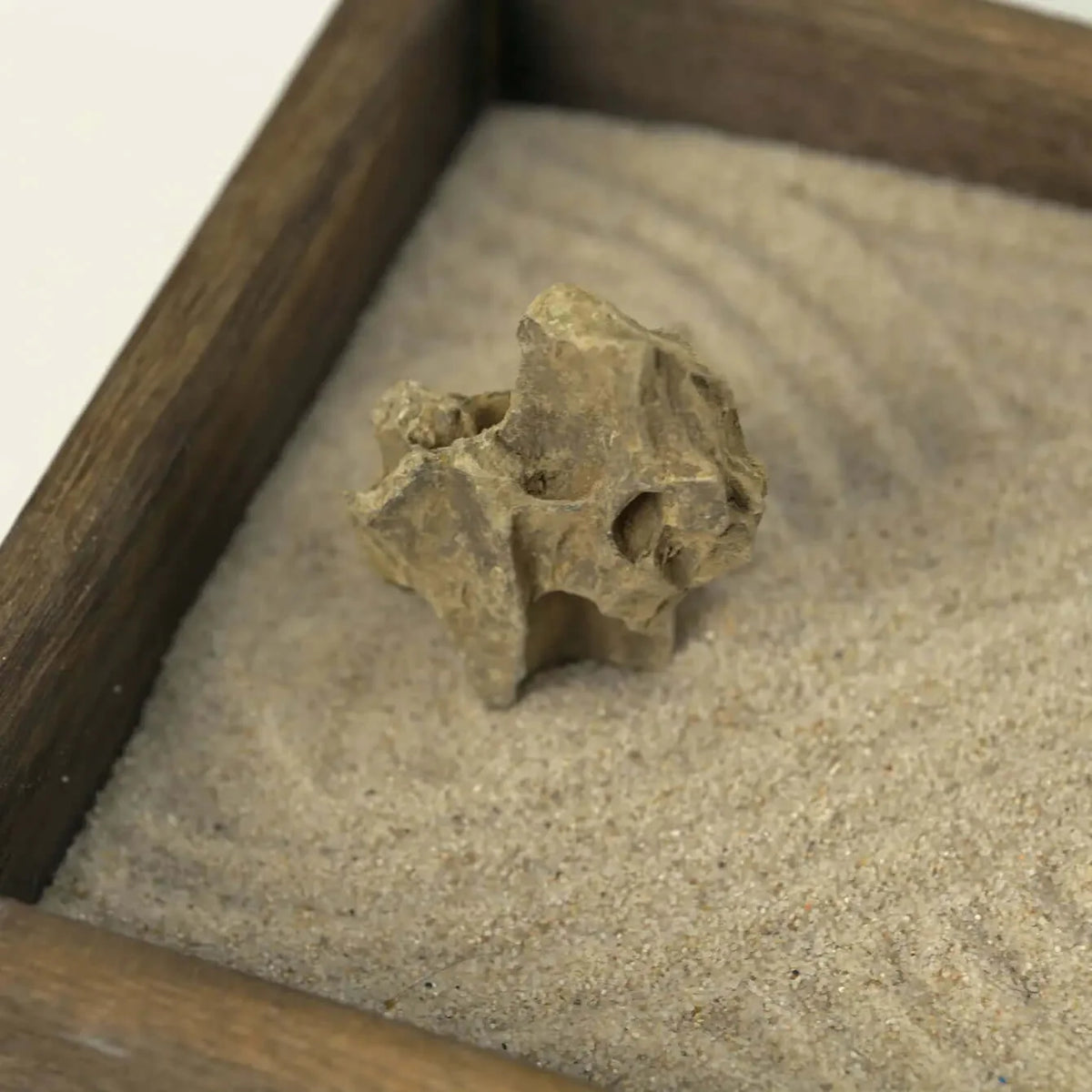 Close-up of a textured natural stone set in raked white sand inside the Japanese Karesansui Zen Garden.