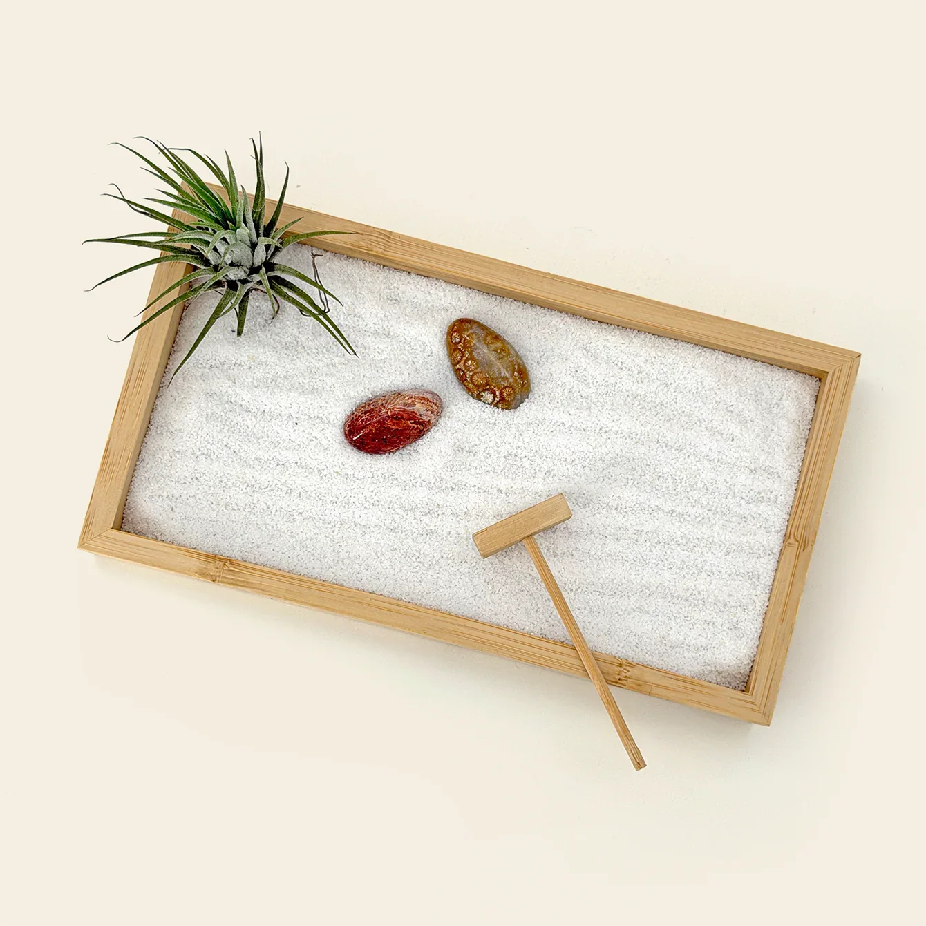 Living Air Plant Zen Garden with natural air plant, coral stones, white sand, bamboo rake, and bamboo tray