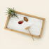Living Air Plant Zen Garden with natural air plant, coral stones, white sand, bamboo rake, and bamboo tray