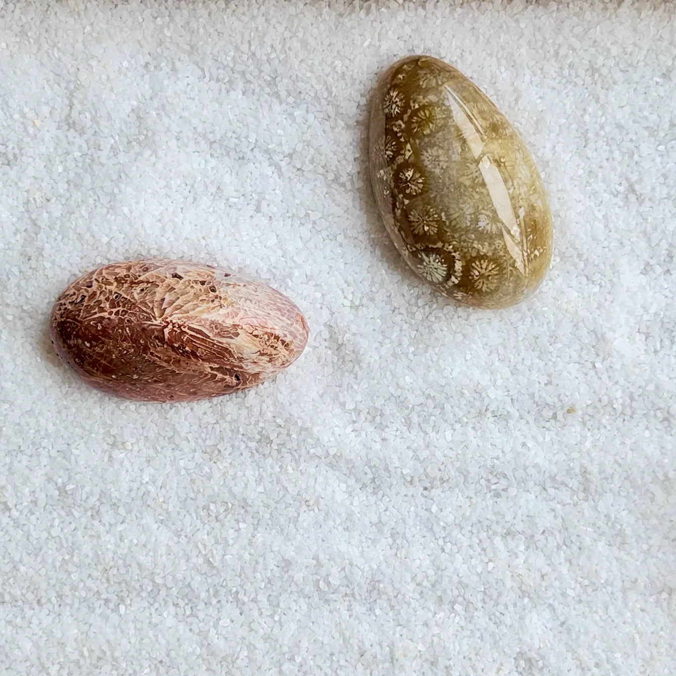 Close-up of two polished coral stones resting on white Zen Garden sand