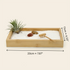 Living Air Plant Zen Garden bamboo tray measuring 20 cm by 11 cm