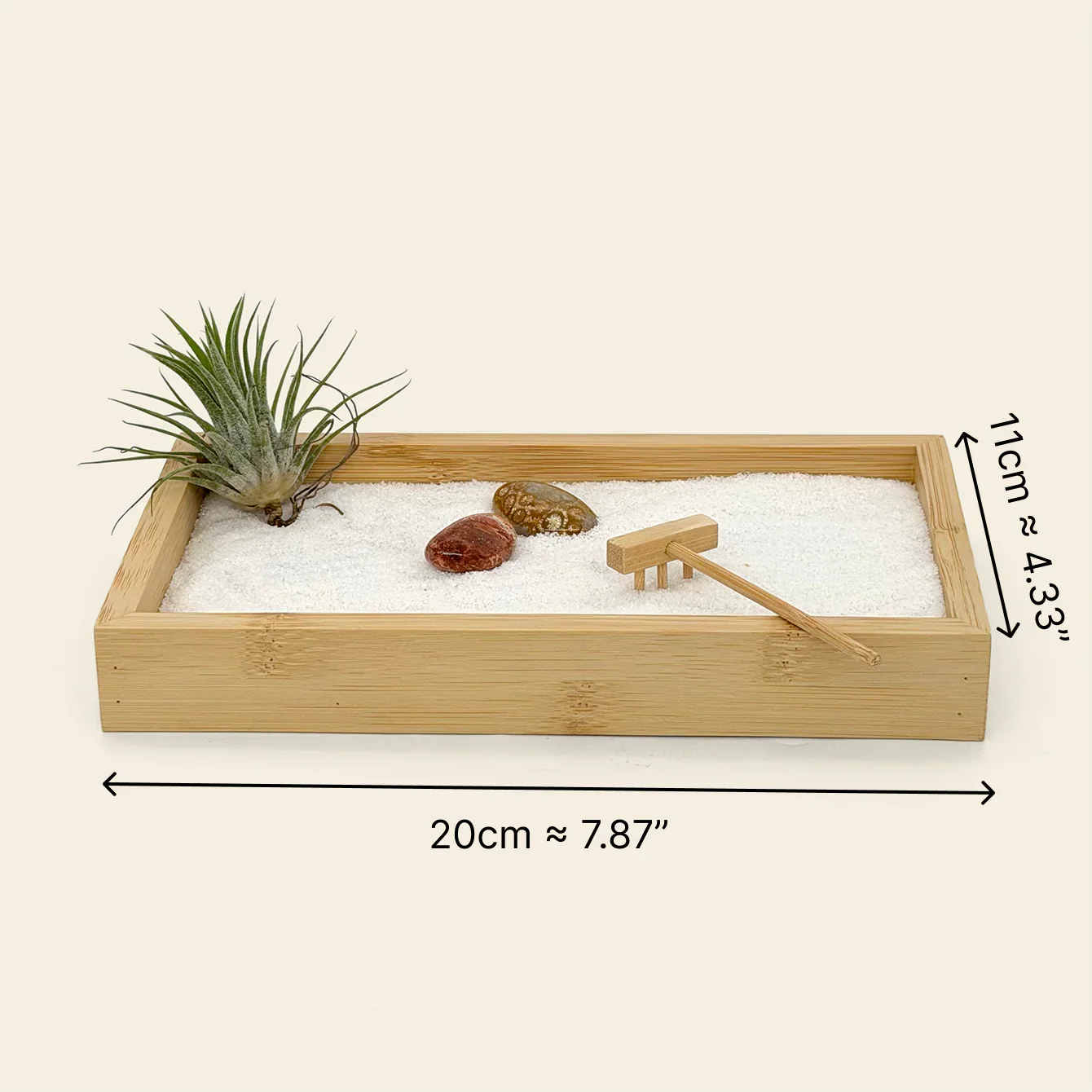 Living Air Plant Zen Garden bamboo tray measuring 20 cm by 11 cm