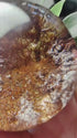 Close-up of Zenify™ Phantom Quartz Sphere, showcasing layered interior and unique phantom formations.