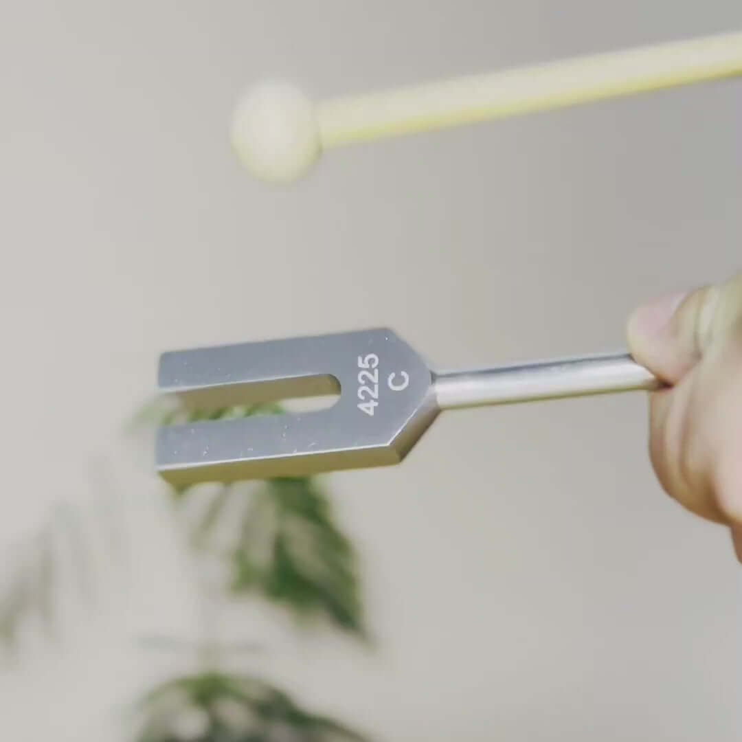 4425 Hz Tuning Fork