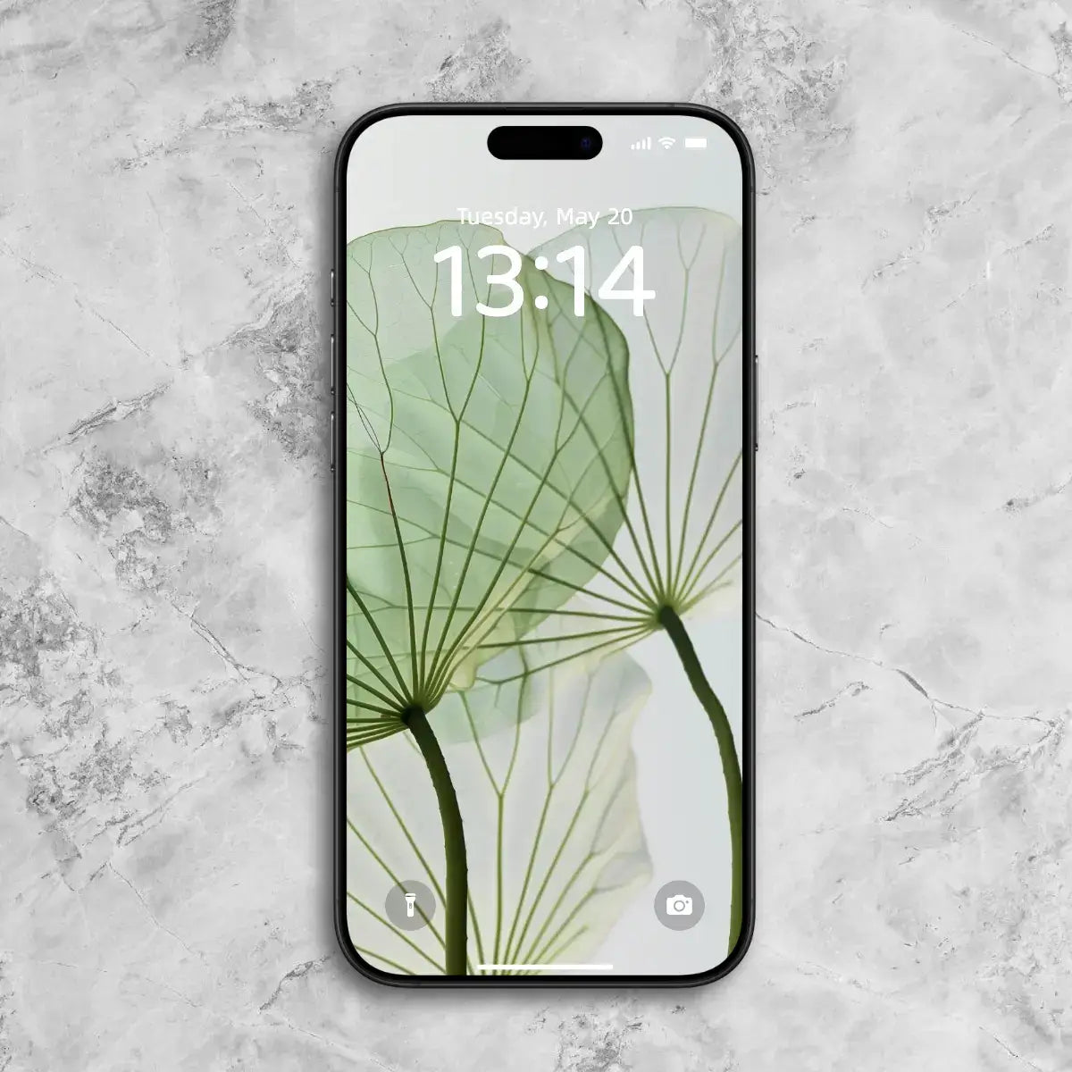 zenify-Lotus Serenity Phone Wallpaper Set