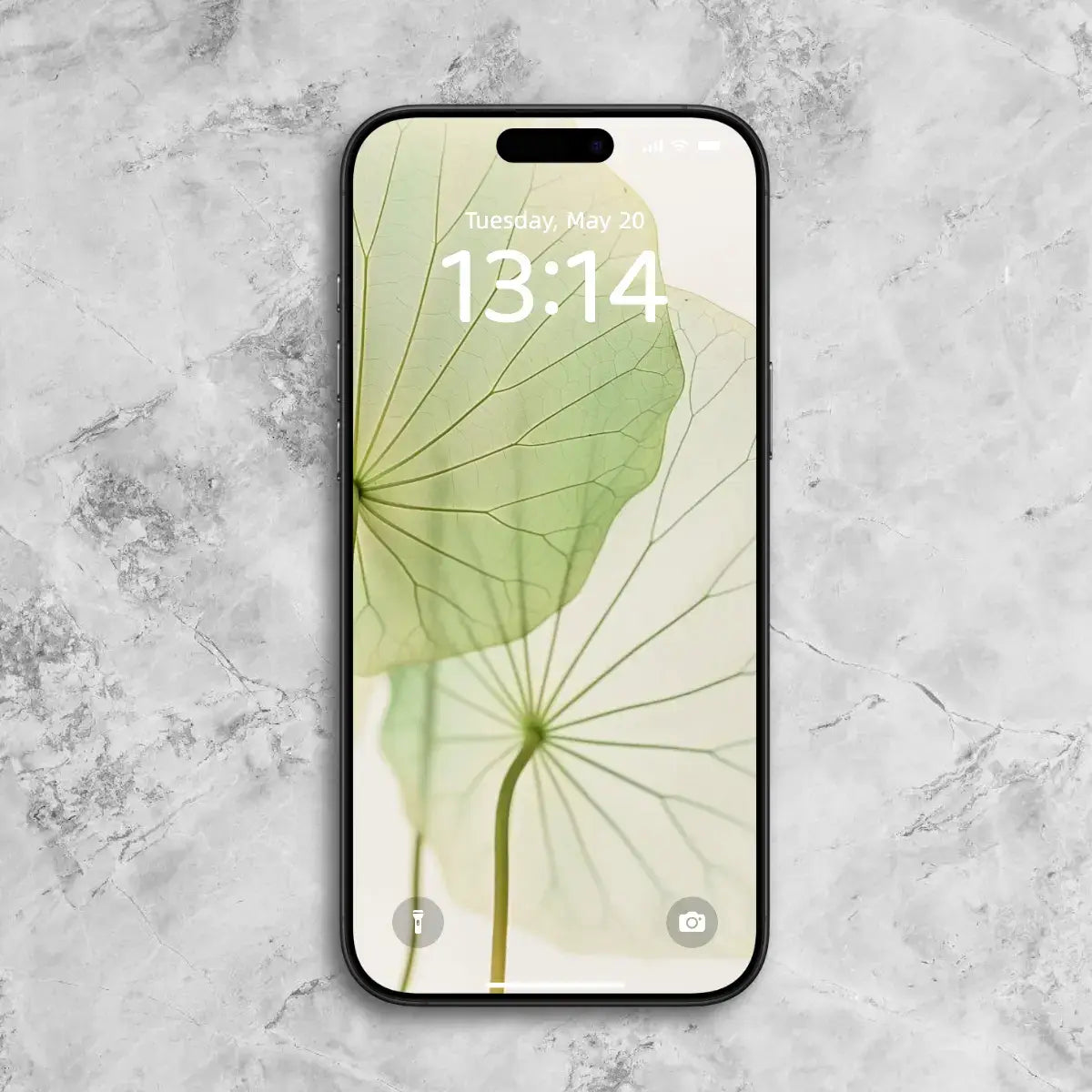 zenify-Lotus Serenity Phone Wallpaper Set