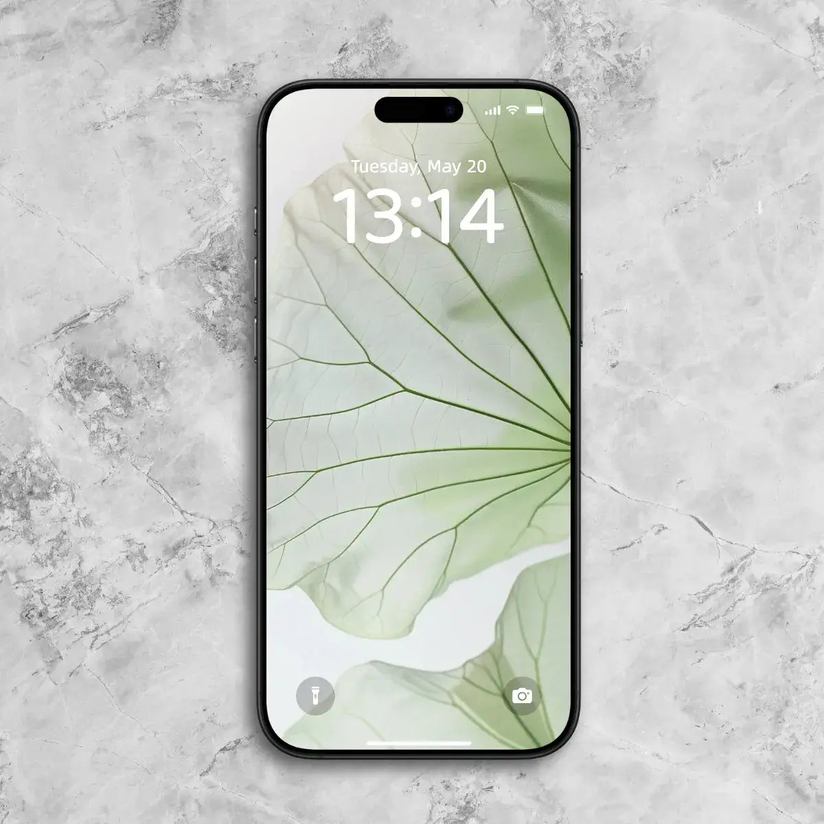 zenify-Lotus Serenity Phone Wallpaper Set