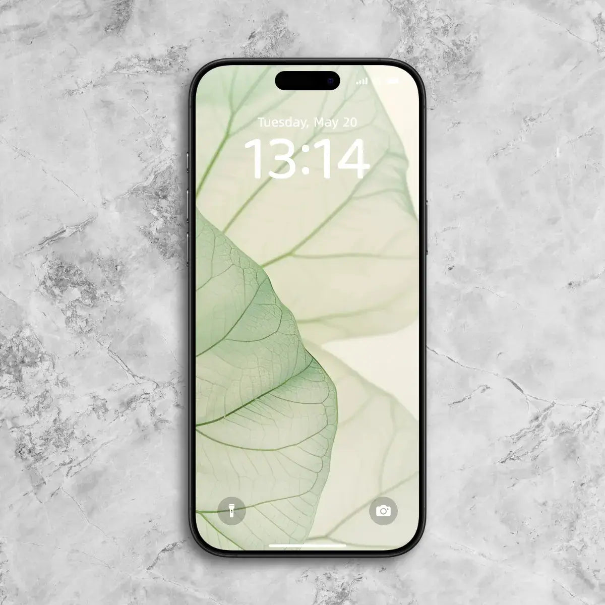 zenify-Lotus Serenity Phone Wallpaper Set