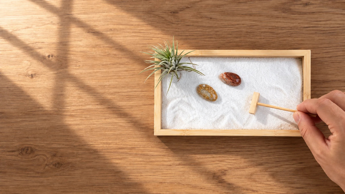 A hand holding a wooden sand tool above a bamboo Zen garden with white sand, two patterned stones and an air plant, lit by soft diagonal window sunlight on a wooden table; landscape banner.