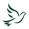 Forest-green brush illustration of a dove in flight.